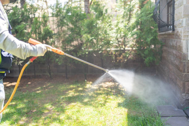 Best Affordable Pest Control Services  in Machias, WA